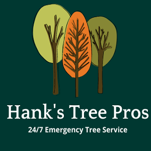 Hank's Tree Pros